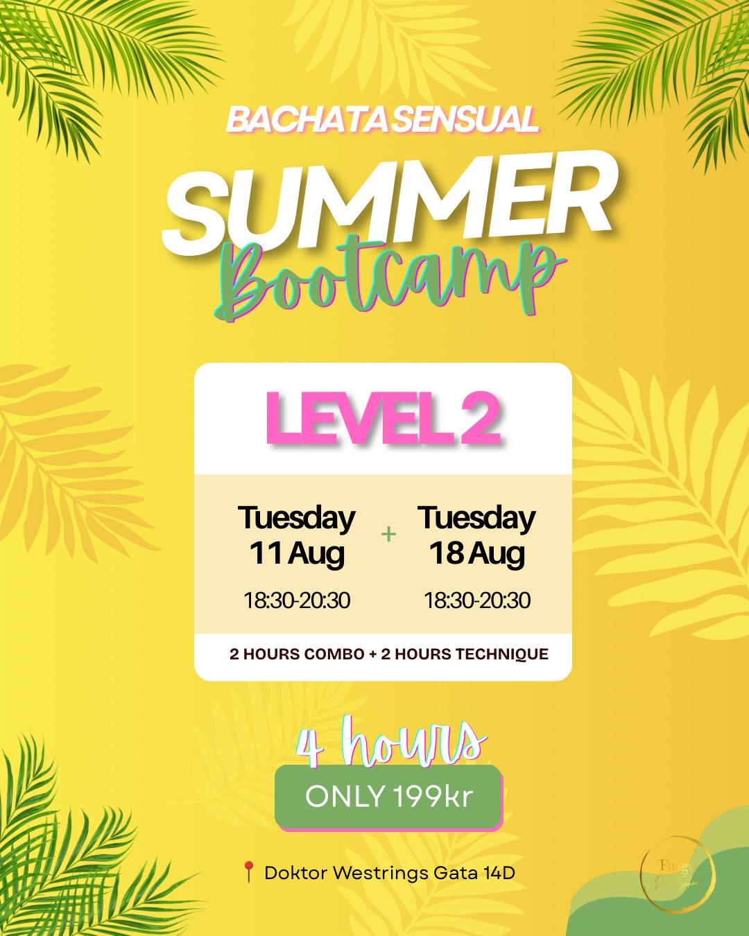 Summer Bootcamp Level 2