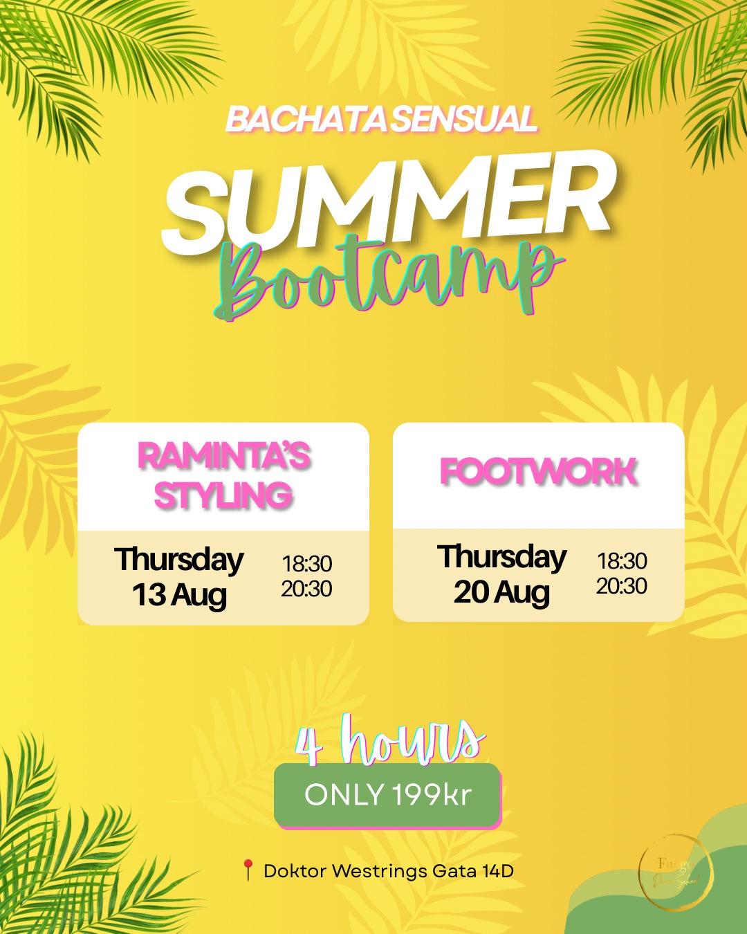 Summer Bootcamp Level Solo